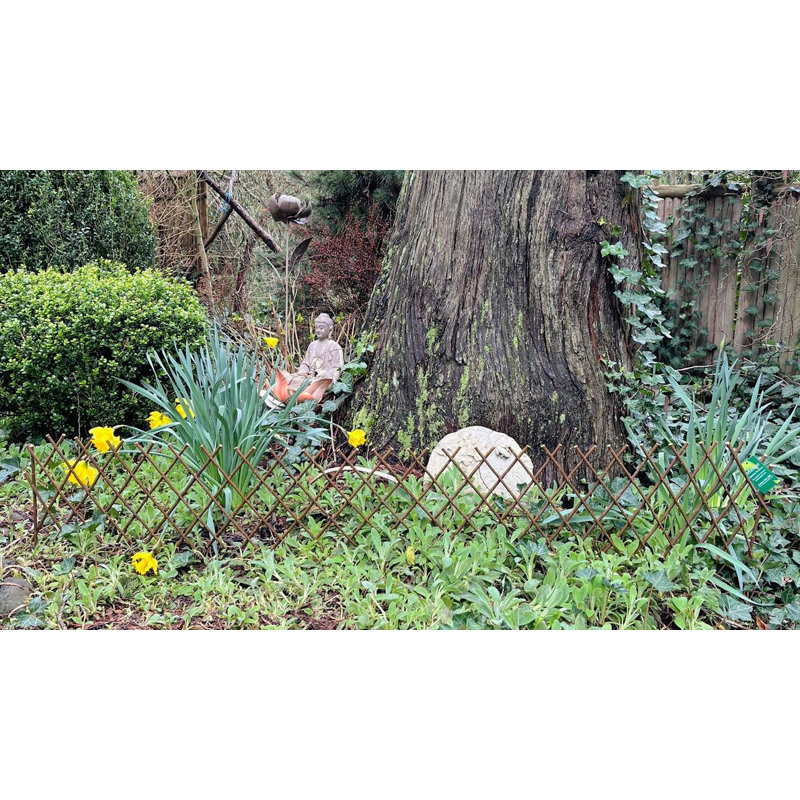 Bordure extensible brun saule