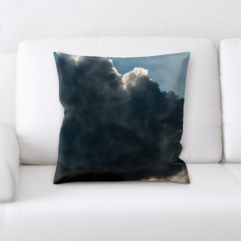 Weinberger Microsuede Throw Pillow