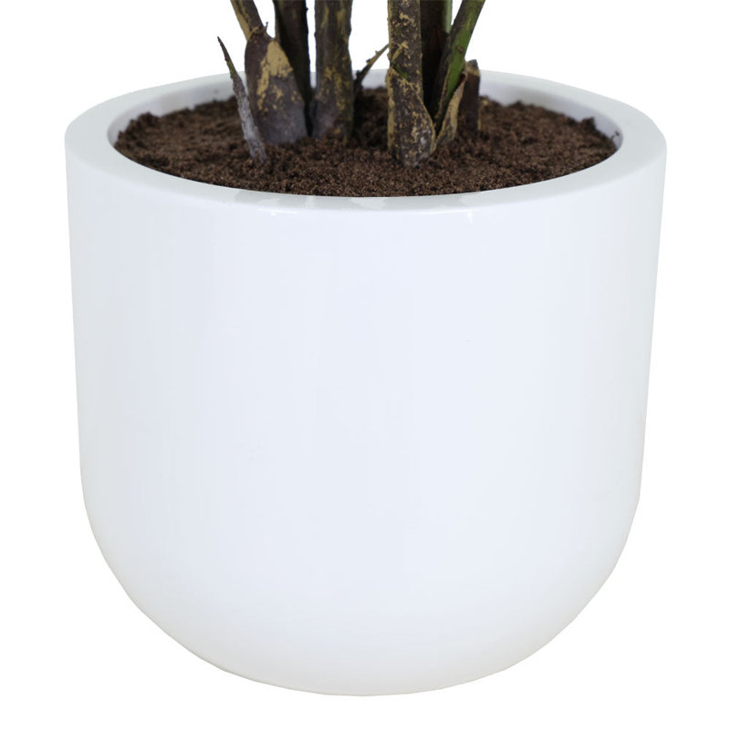 POT DE PLANTES PHILODENDRONS 3 PIEDS