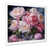 White Picture Framed