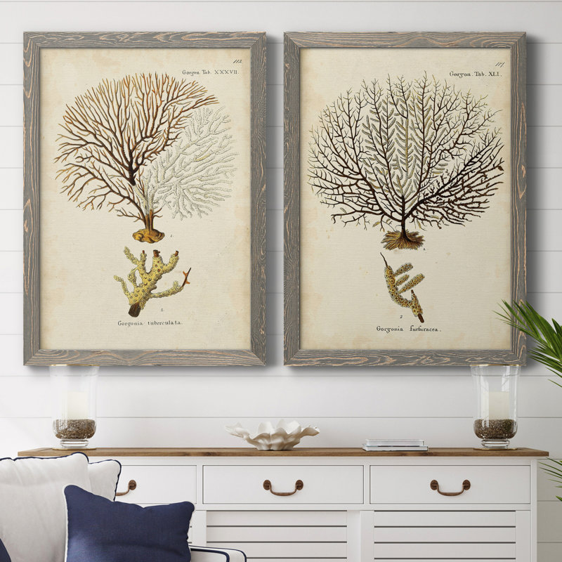 Toile encadrée Esper Sea Fans, H 37,5 po x l 55 po x P 1,5 po, Toile avec cadre gris, Pas de tapis