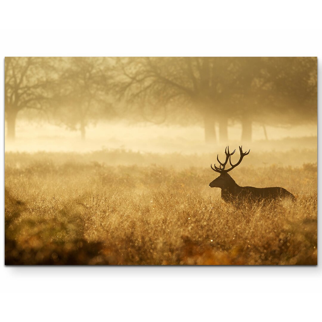 Leinwandbild Silhouette eines Hirsch im Wald