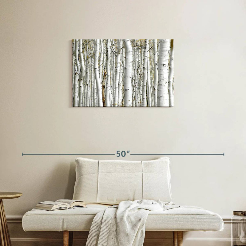 Alvord Birch Wood, 20" H x 30" W
