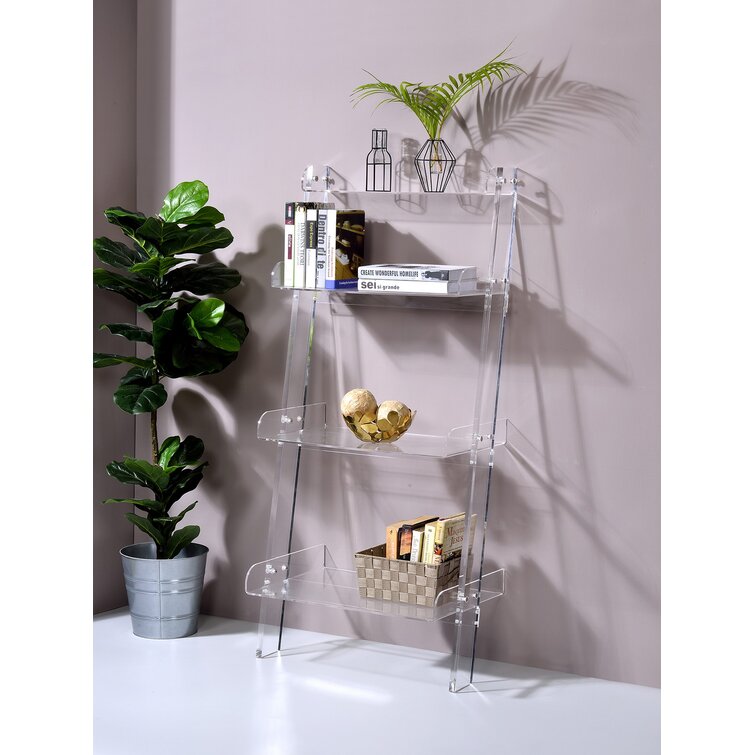 Clear Acrylic ladder bookcase