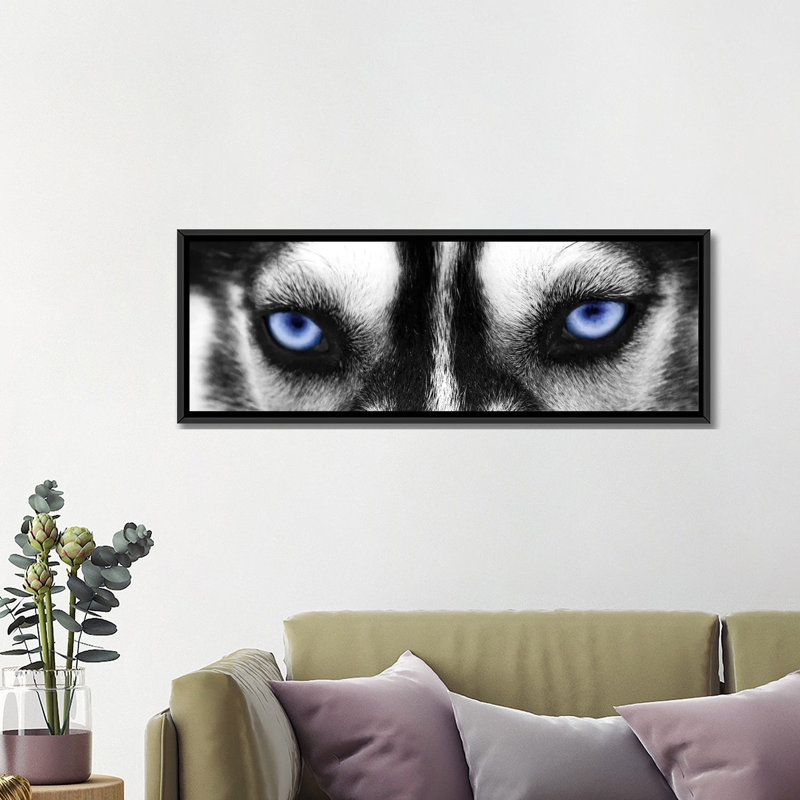 «Husky Eyes», impression sur toile, H 12 po x l 36 po x P 1,5 po, Toile avec cadre noir
