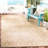 Arneshia Floral Brown/Tan Indoor/Outdoor Area Rug-1599776085