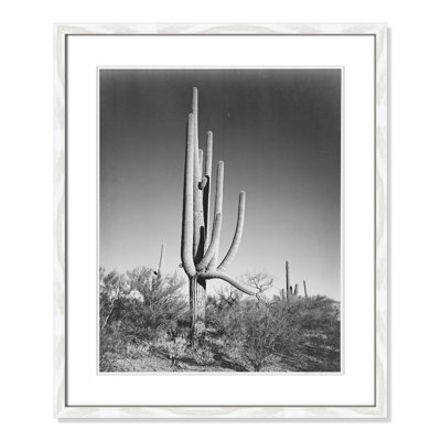 Saguaro National Monument Print by Ansel Adams