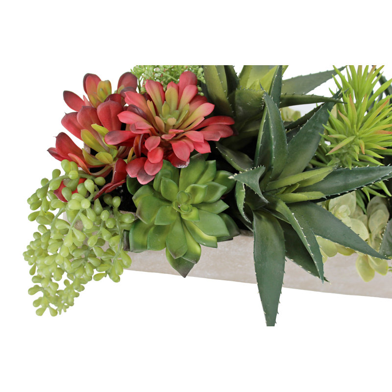 PLANT 27IN SUCCULENT ARRANGEMENT, GRAY POT, Beige