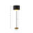 Lustre Modern Metal Floor Lamp with Gold Interior Shade and On/Off Pull Chain.