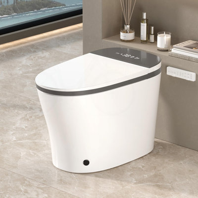 ADA Smart Bidet Toilet with Auto Open/Close and Side Knob Control (White with Grey Trim)