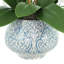 24 " Polysilk Orchid Arrangement