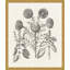 Bessler Study Neutral 12' Framed Graphic Art Print on Glass