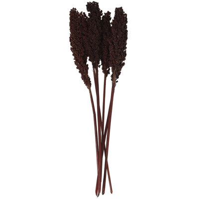 Clerkin Botanical Stems