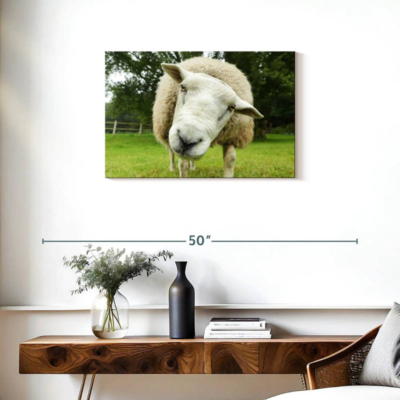 Brampt Nosy Sheep, 20" H x 30" W