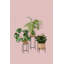 Vivi Plant Stand