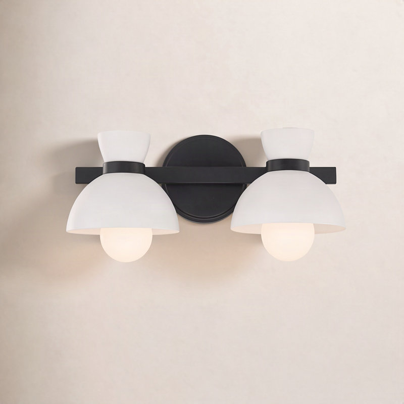 Karalana 2-Light Bathroom Vanity Light in Matte Black, Matte Black