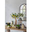 Ileah Ceramic Pitcher Vase with Lemon Motif-708911757