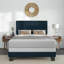 Lit double tapissier-356007901-356007898