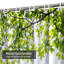 Rideau de douche Green Leaf Branches-1570896937