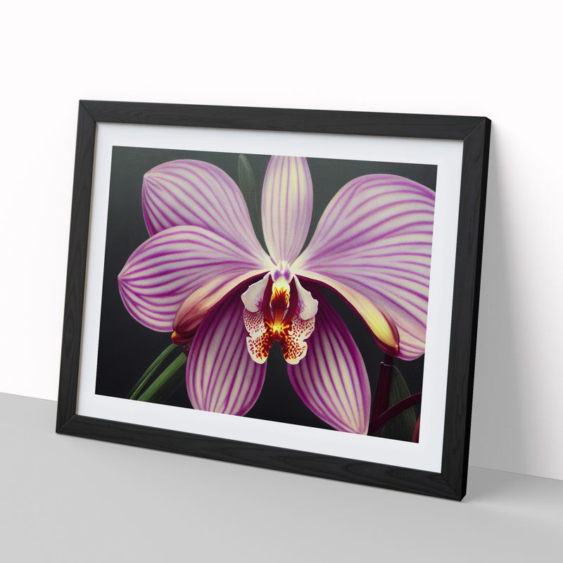 Orchid Flower - Single Picture Frame Print, Black, 46cm H x 64cm W x 2cm D