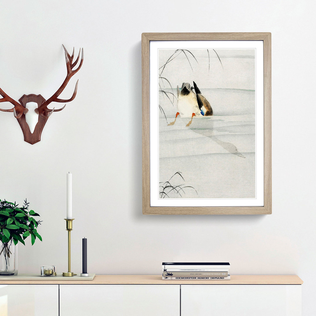 Mallard Duck Under Water by Ohara Koson - Framed Print