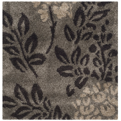 Chanhassen Shag Performance Floral Rug