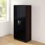 Arkadij 2 Door High Gloss Manufactured Wood Wardrobe With Internal Shelf and Hanging Rail-1568472799