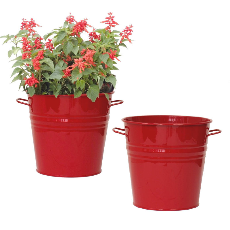 Maynard Metal Pot Planter, Red