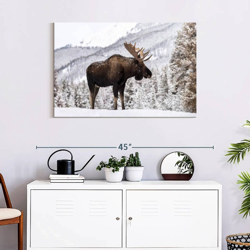 Snowy Moose, 24" H x 36" W