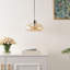 Luminaire suspendu bol 1 lumière