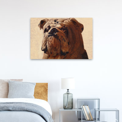 Bulldog - Animals Novelty Dogs Art