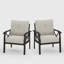 Ensemble de 2 chaises de salle à manger avec accoudoirs en métal toutes saisons, avec coussins-1082912189
