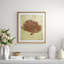Red Sea Fan Print by Sarah Atkinson-47362305