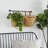 Labonte Wall Organizer with Wall Baskets