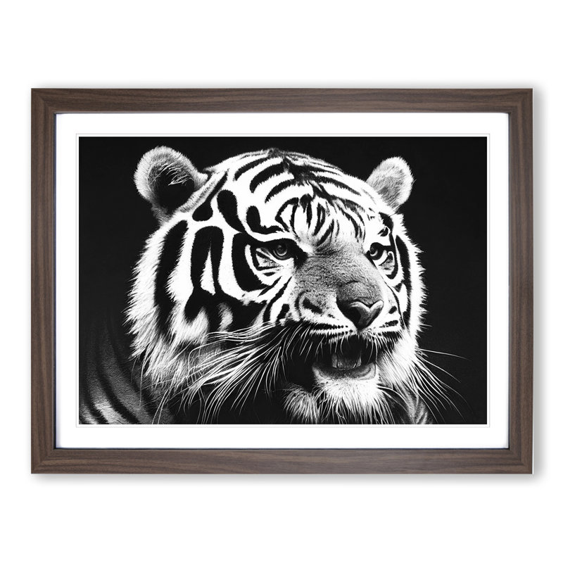 Monochrome Tiger Vol.1 - Framed Print, 25cm H x 34cm W x 2cm D, Brown Framed