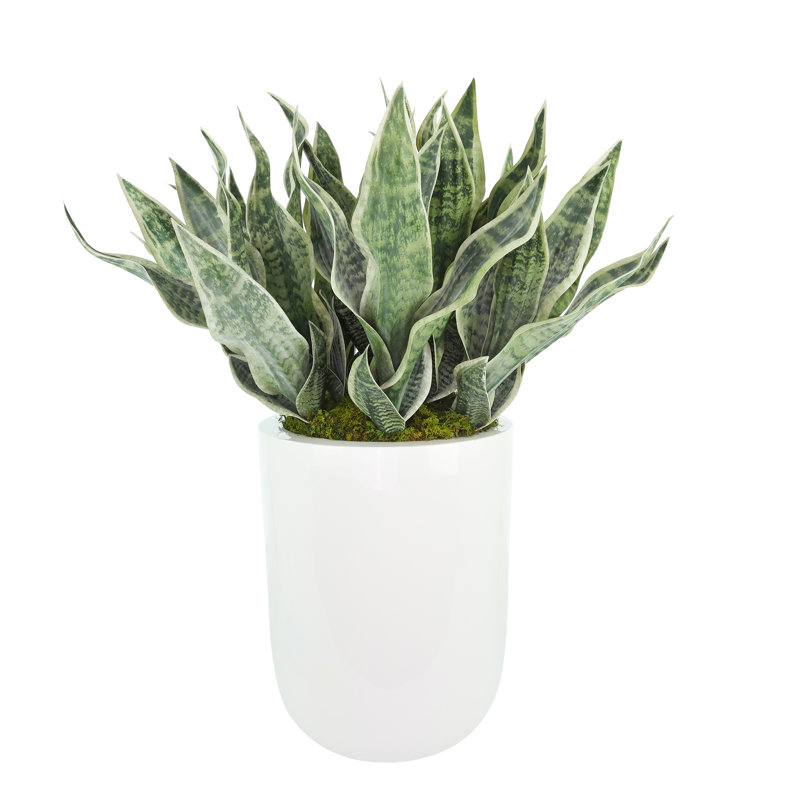 Faux Sansevieria Plant in Fiberstone Planter