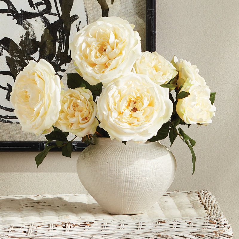 English Rose, Cream