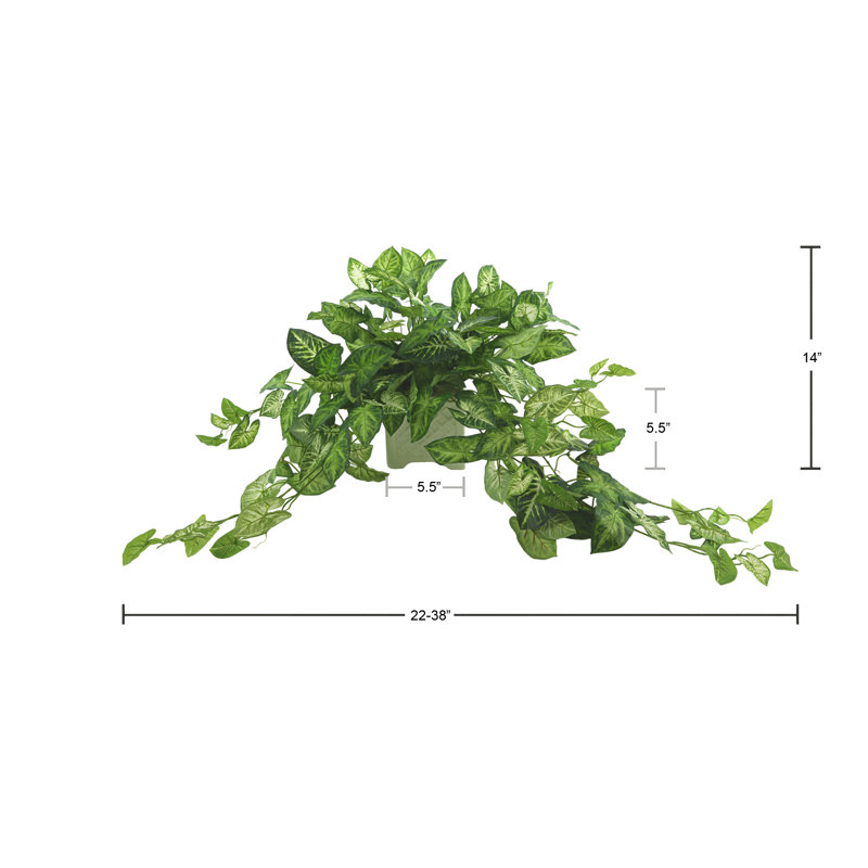 Ochoa Faux Syngonium Plant in Ceramic Vase