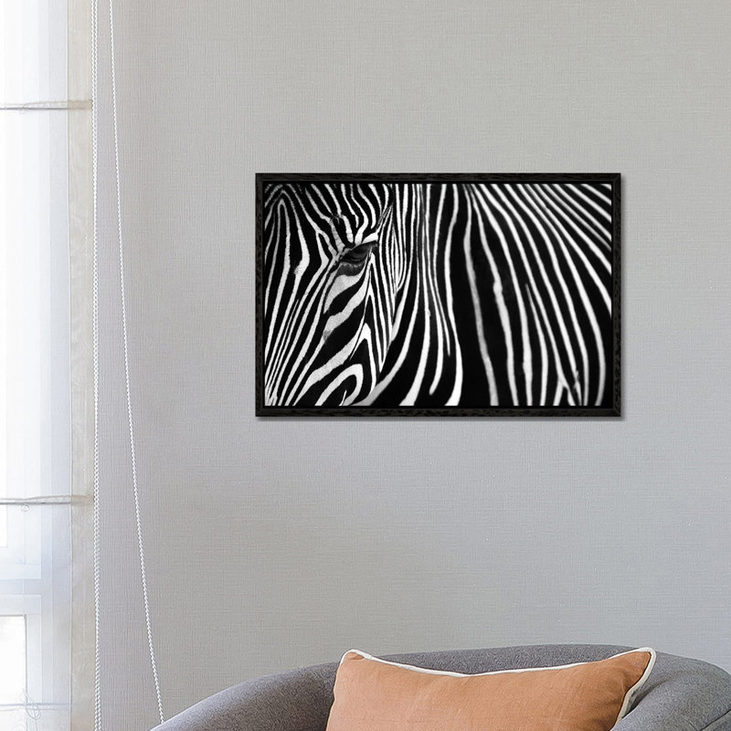 Zebra In Lisbon Zoo by Andy Mumford - Gallery-Wrapped Canvas Giclée on Canvas, 66.04 cm H x 45.72 cm W, Black Framed Canvas
