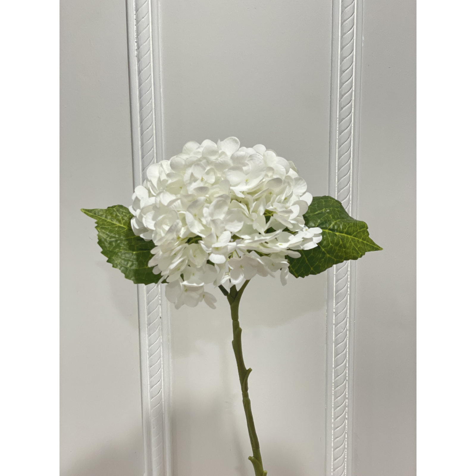 Hydrangea Floral Stems, White