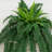 Boston Fern Artificial Plant (Set of 2)