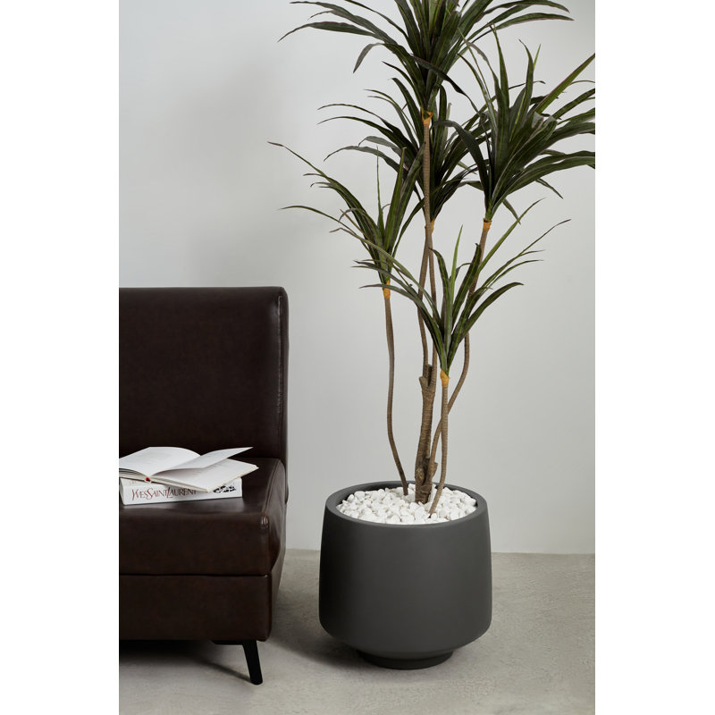 Pot à fleurs en ciment Finnuala, H 14,5 po x l 15 po x P 15 po, Gris anthracite ciment