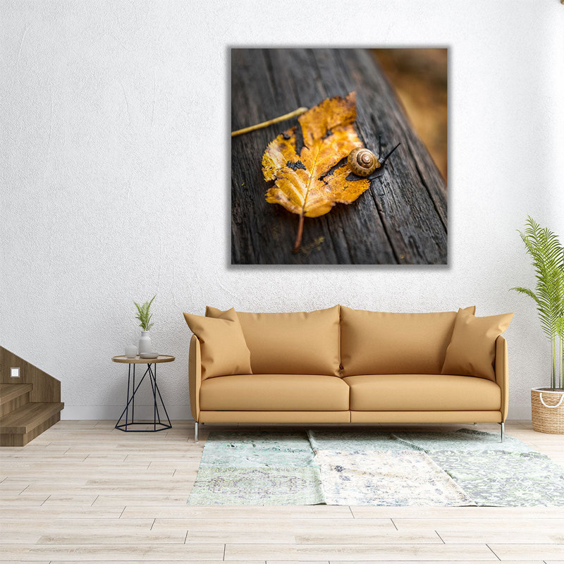 Snails Pace - reproduction d'art sur toile, H 12 po x l 12 po