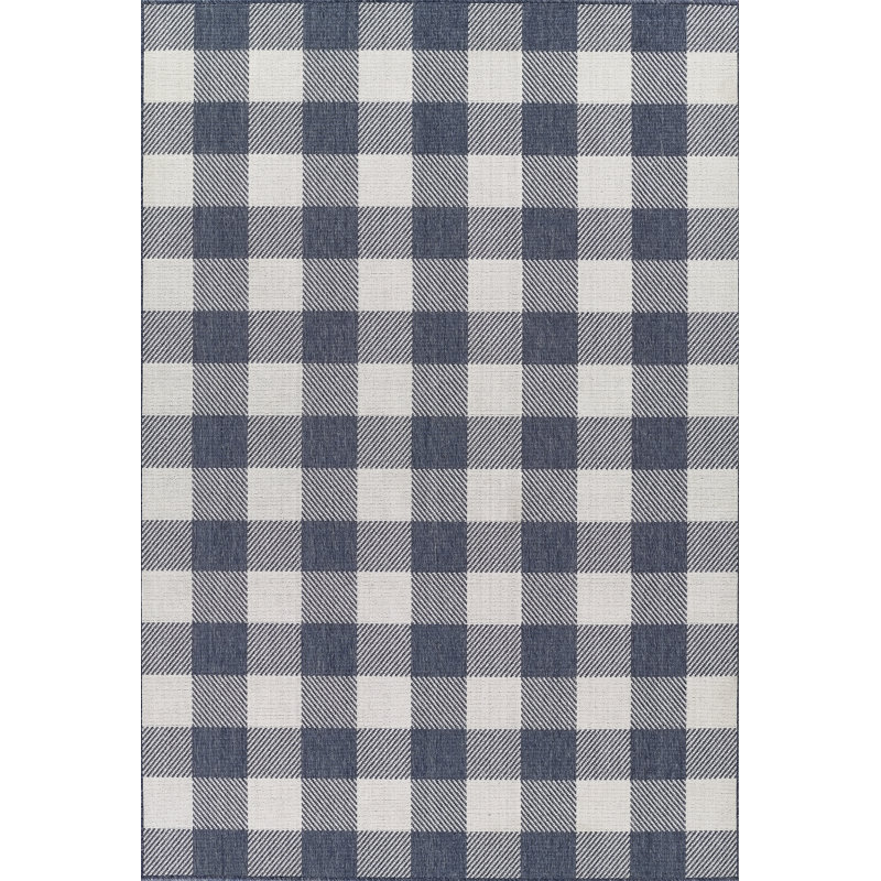 Riko Gingham Indoor / Outdoor Rug, Rectangle 1'8" x 3'7"