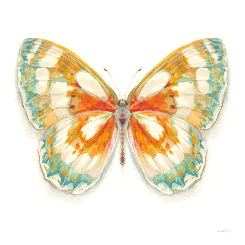 Fragile Wings Butterfly II by Danhui Nai - Wrapped Canvas Painting, 76cm H x 76cm W