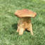 Solid Wood Accent Stool