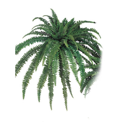 48 " H Faux Fern Plant