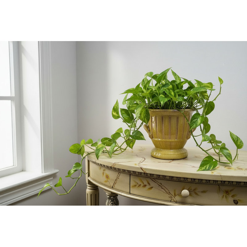 Mustard Ceramic Planter With Ribbed Design