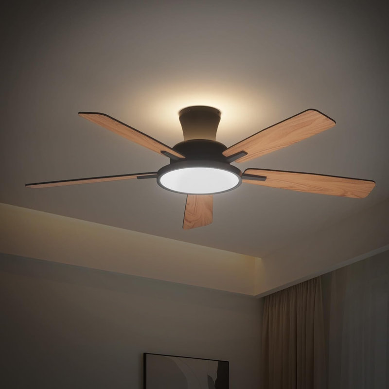 Low Ceiling Fan With Night Light