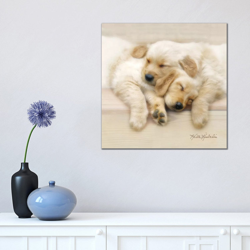 Nap Friends by Keith Kimberlin - Print on Canvas, 45.72 cm H x 45.72 cm W x 1.91 cm D, Wrapped Canvas